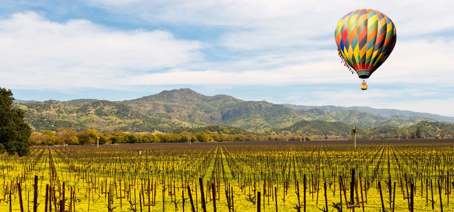 JUST MINUTES FROM TOP NAPA WINERIES
